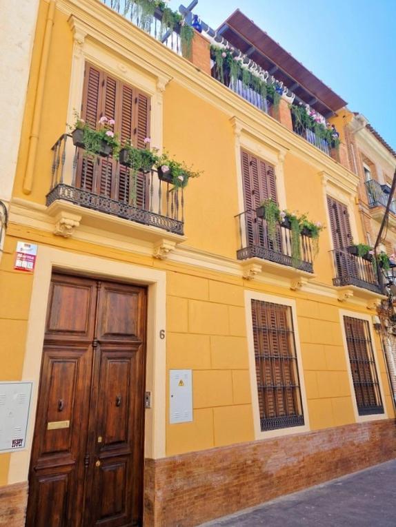 Piso Con Patio, 3 Habitaciones, En La Goleta Appartement